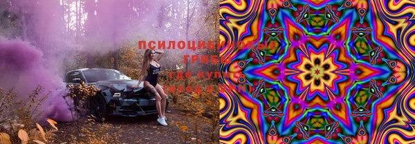 PSILOCYBIN Абаза